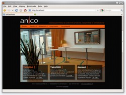 www.anico.fi